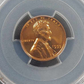 1955 Lincoln Wheat Cent PCGS PR67RD