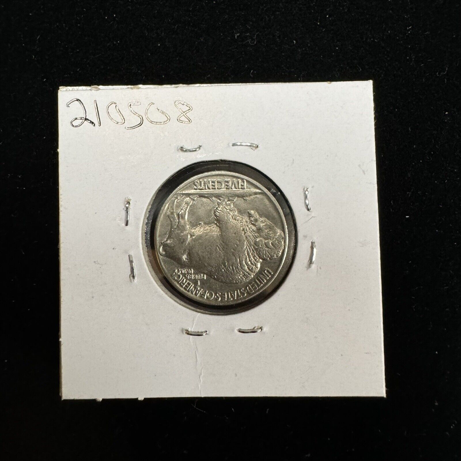 1936 buffalo nickel