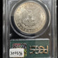 1900 Morgan Dollar OGH PCGS - MS63