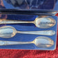 Vintage Wm. Rogers President Commemorative Silver Plated Spoons 25 Pc NIB