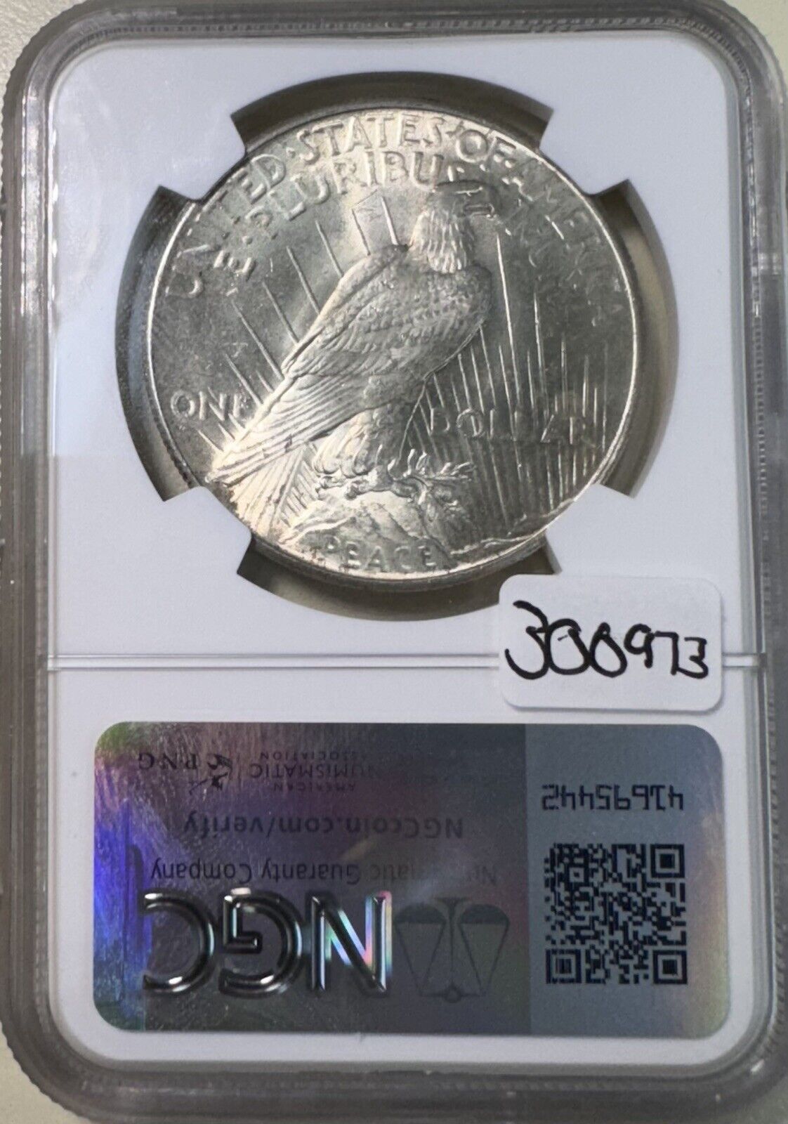 1925 Peace Dollar NGC - MS64 ( 300973 )