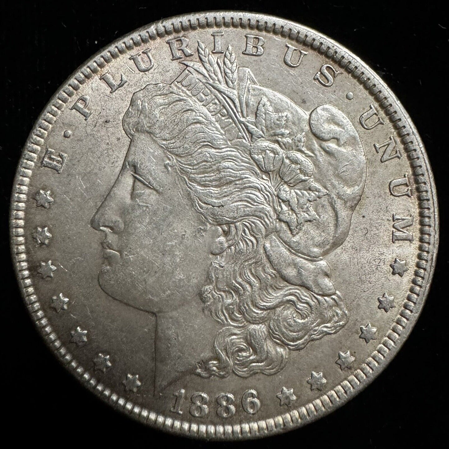 1886 Morgan Dollar - Mint State ( 300742 )