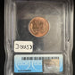 1955 Wheat Cent ICG - MS66+ RD