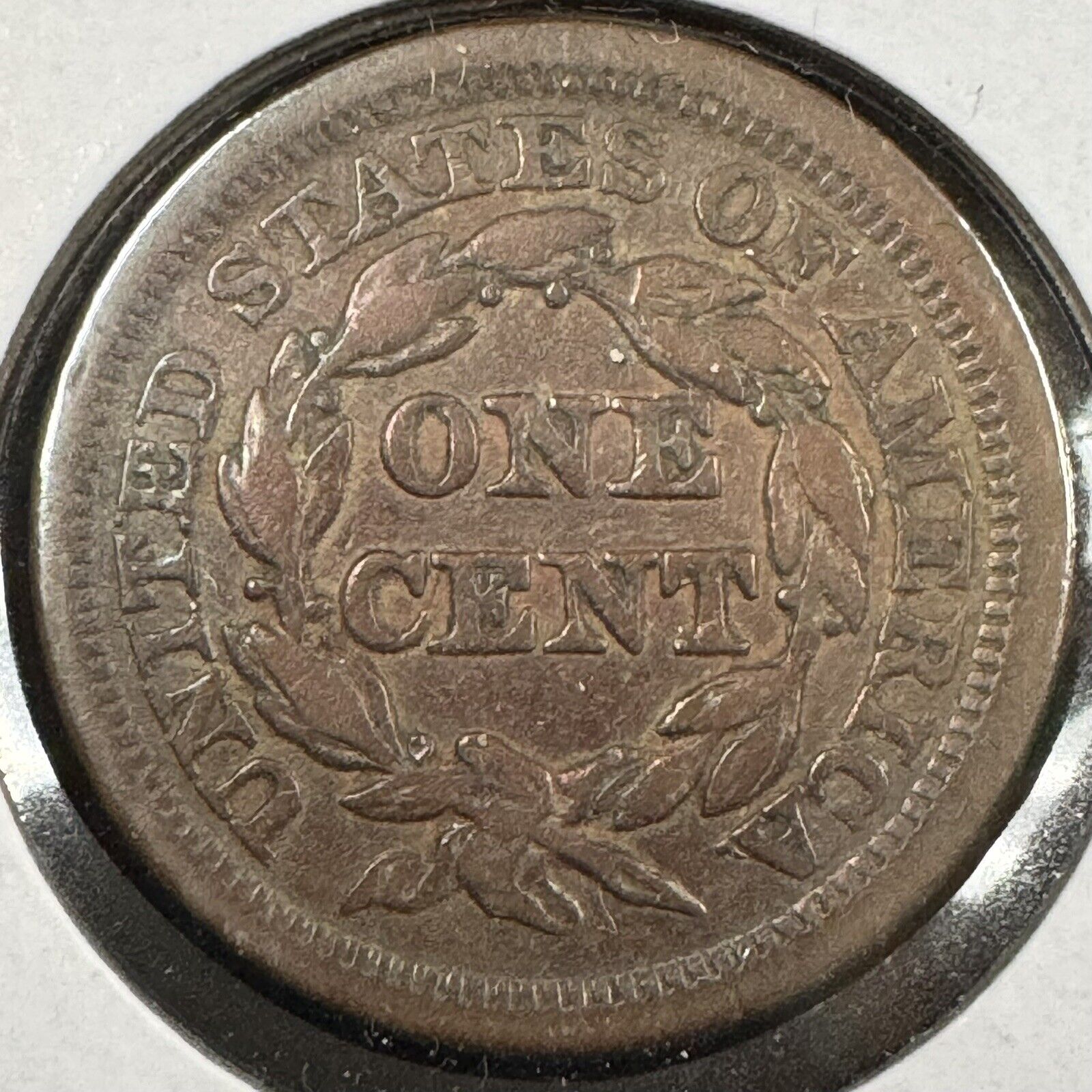 1853 Large Cent - Extra Fine