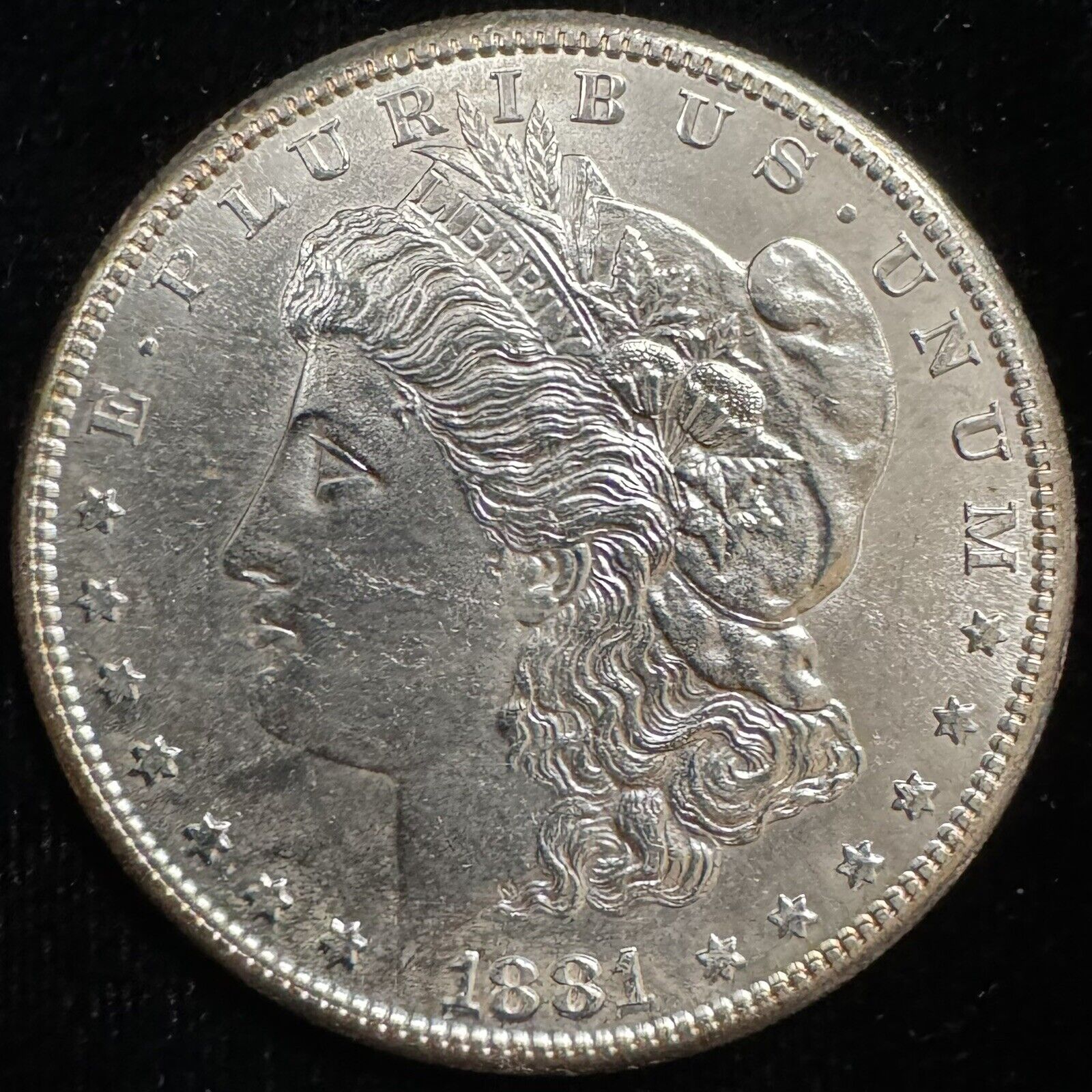 1881 S Morgan Dollar - Mint State ( 300731 )