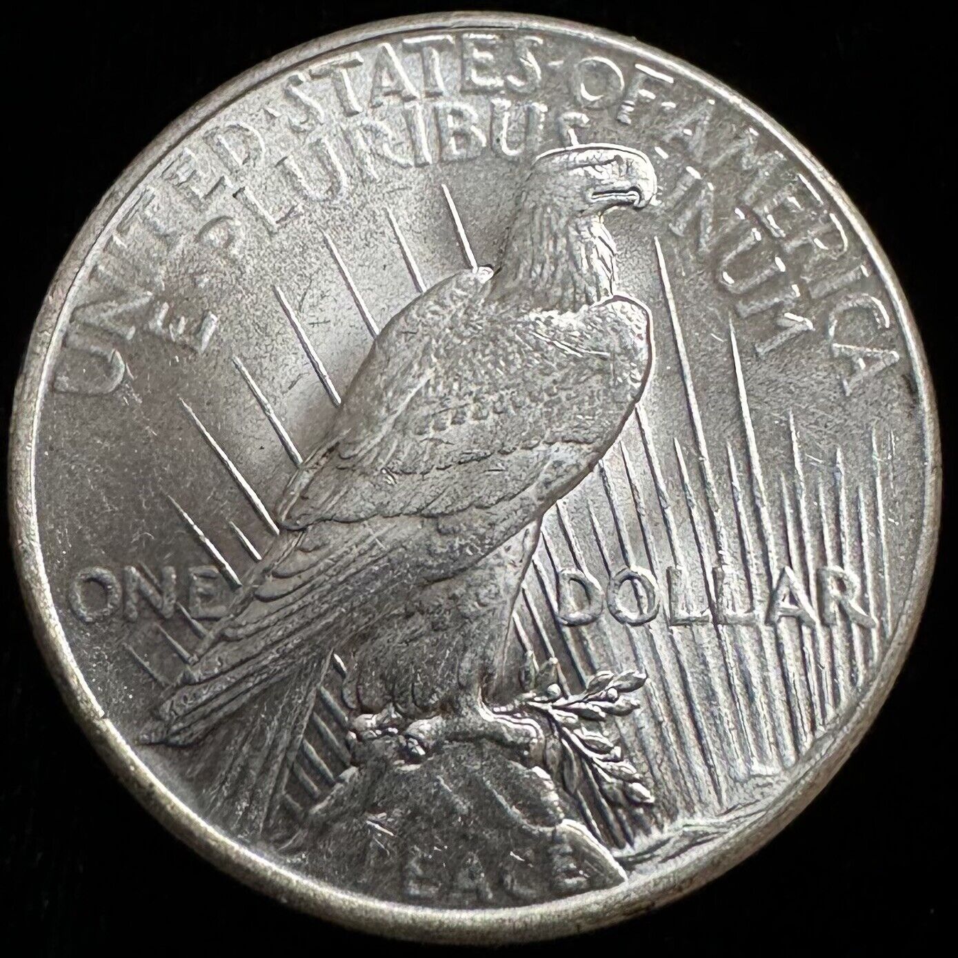 1925 Peace Dollar - Gem Uncirculated ( 300757 )