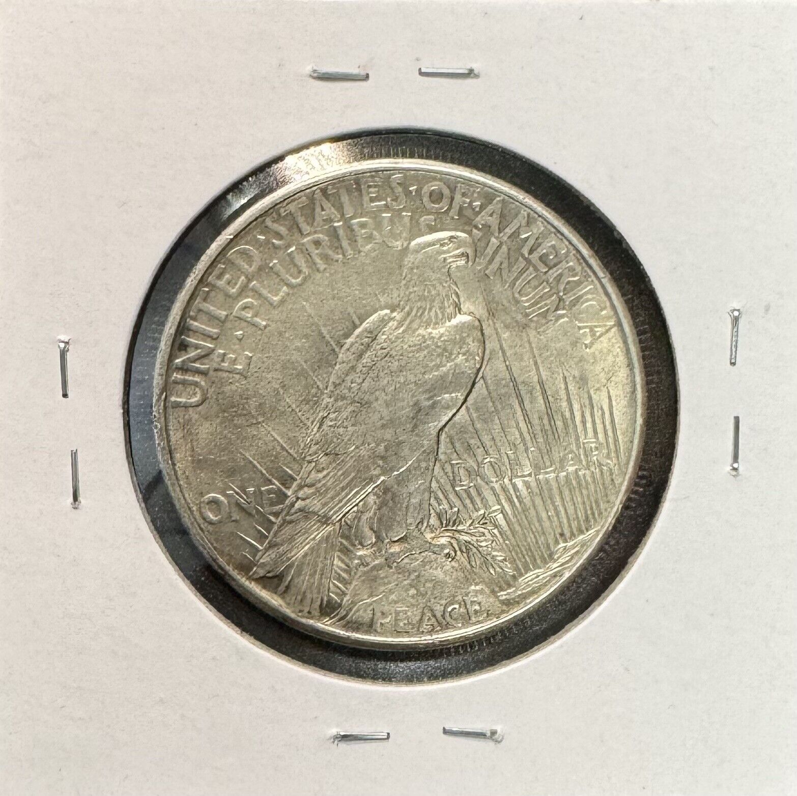 1921 Peace Dollar - Extra Fine - KEY DATE ( 301141 )