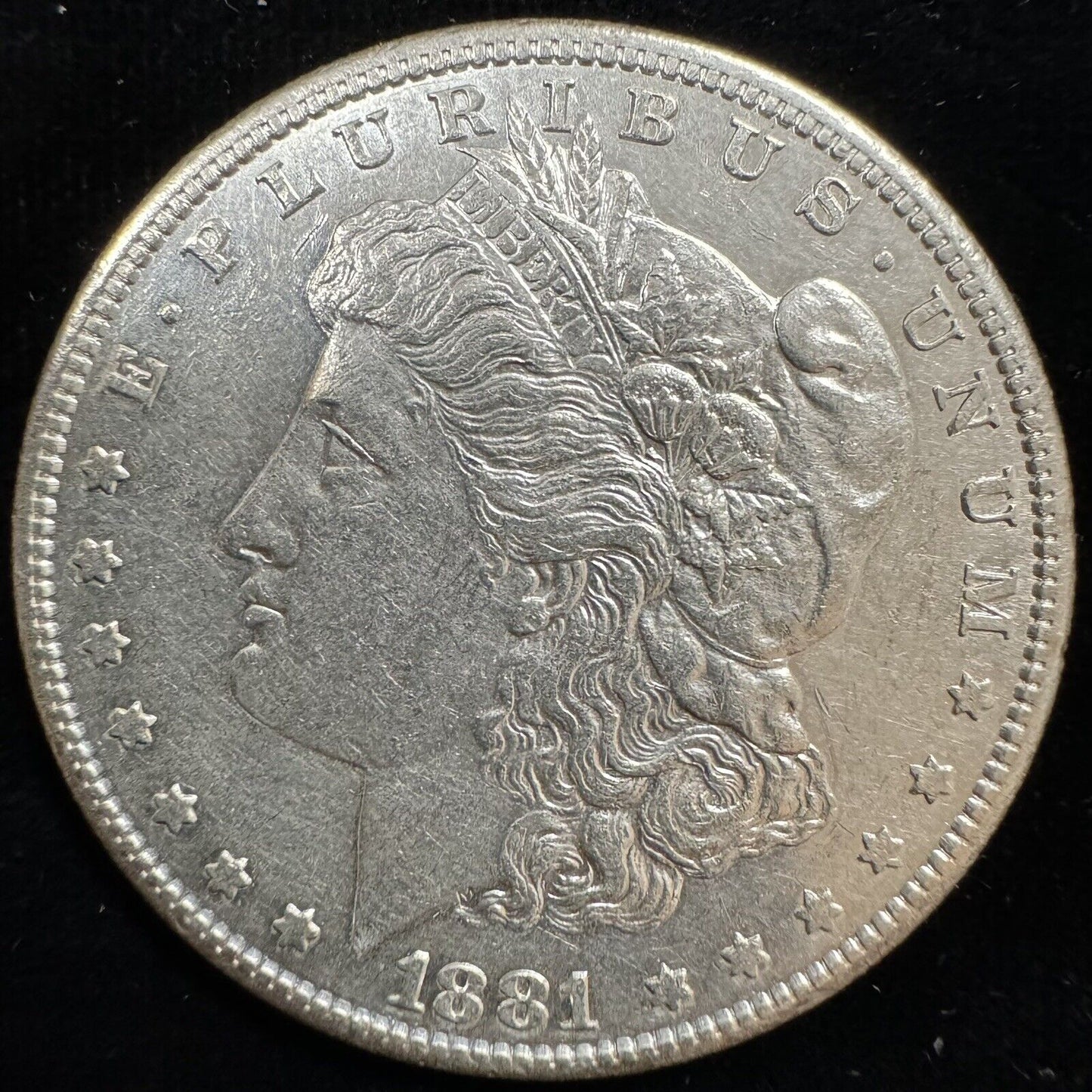 1881 S Morgan Dollar - Mint State ( 300738 )