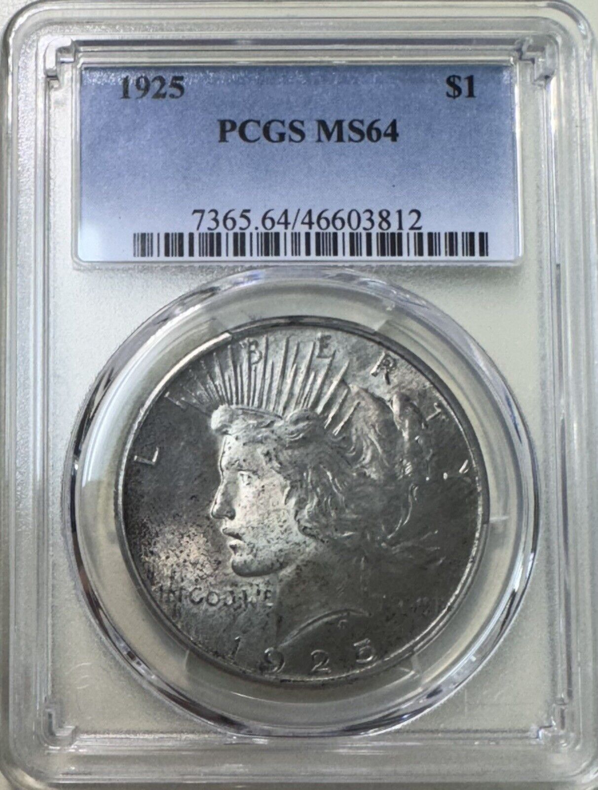 1925 Peace Dollar PCGS - MS64 ( 301082 )