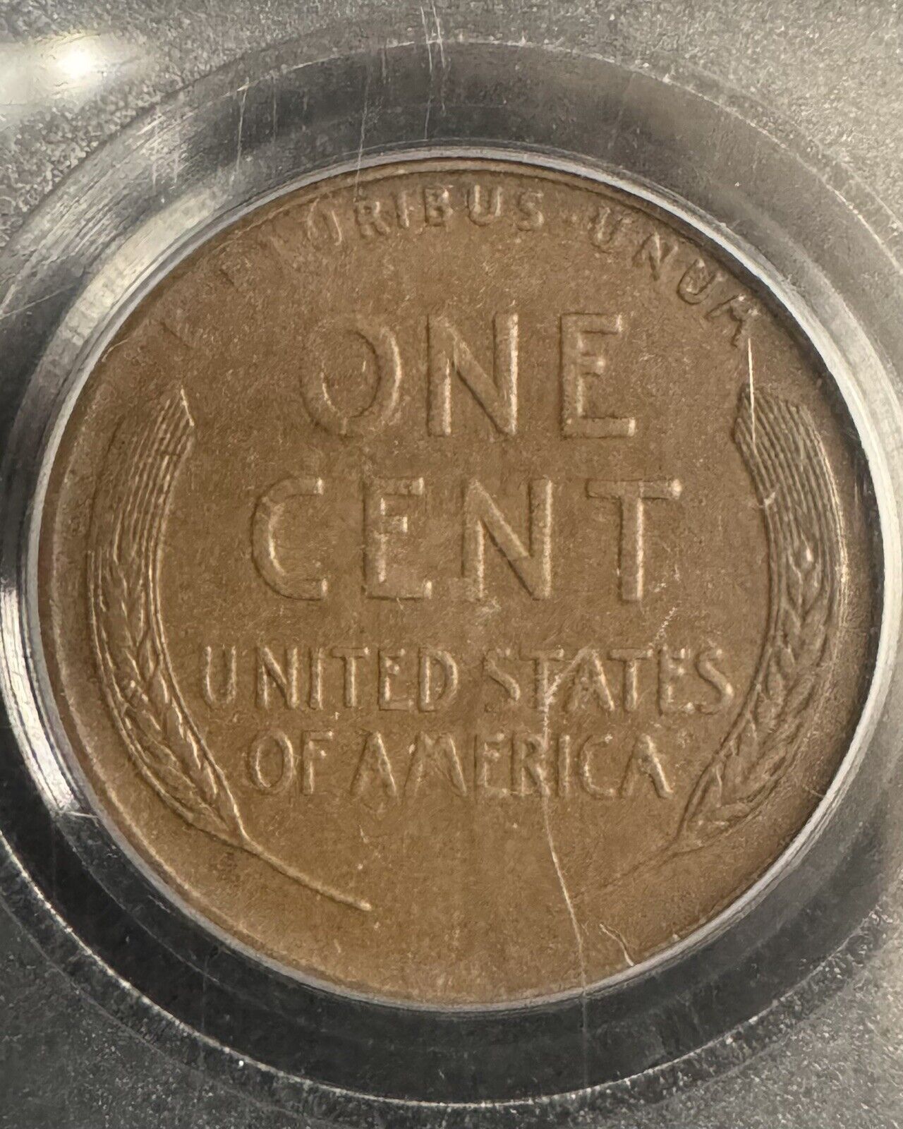 1921 S Wheat Cent PCGC - XF40