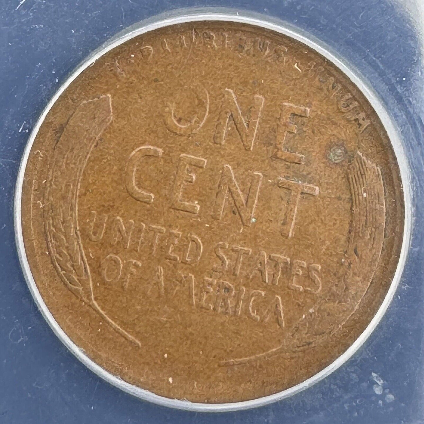 1911 S Wheat Cent ANACS - F 15 ( 300999 )